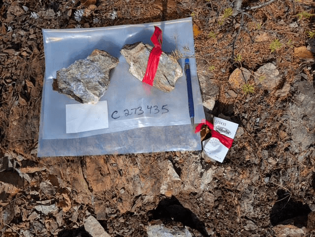 Sample C273435, collected on outcrop